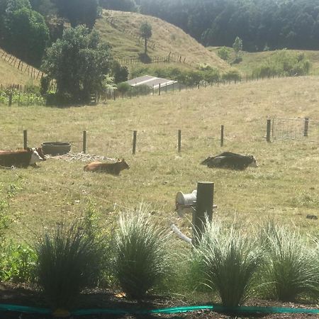Pukeko Lodge Bnb New Plymouth Zewnętrze zdjęcie