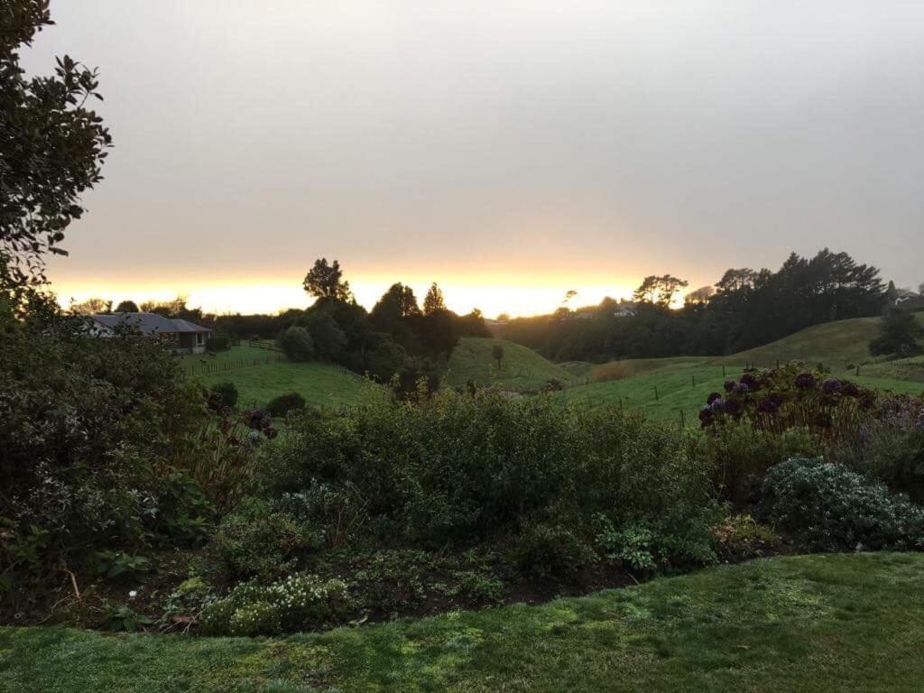 Pukeko Lodge Bnb New Plymouth Zewnętrze zdjęcie