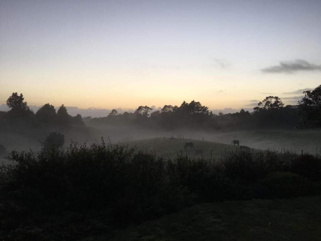Pukeko Lodge Bnb New Plymouth Zewnętrze zdjęcie