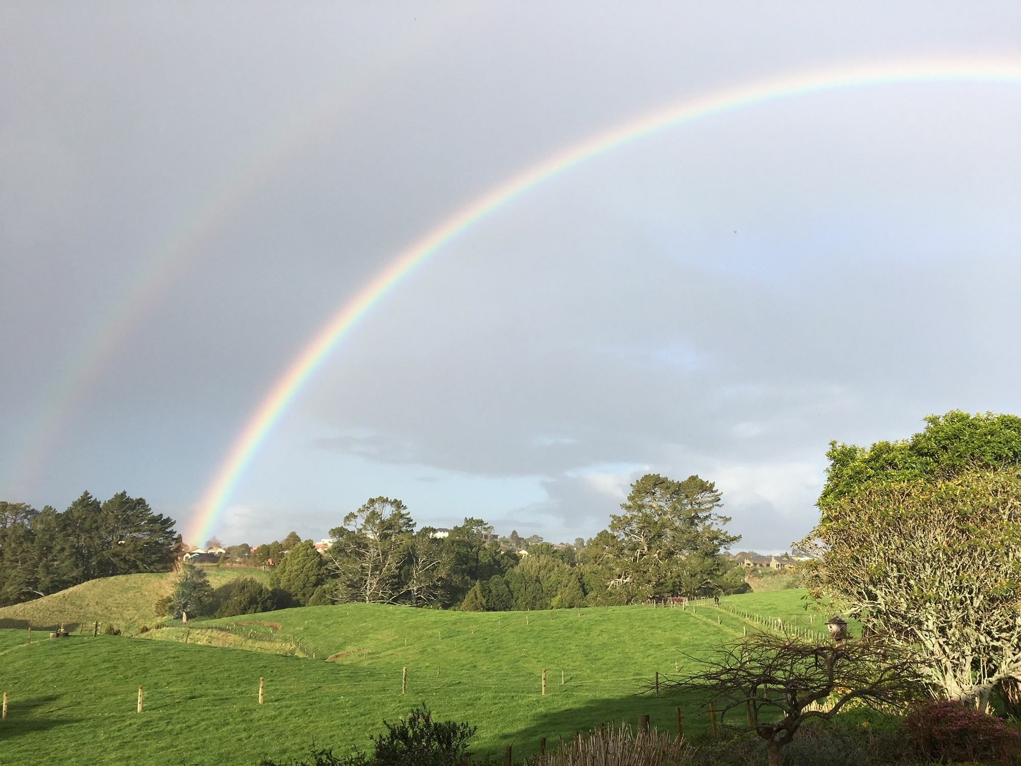 Pukeko Lodge Bnb New Plymouth Zewnętrze zdjęcie